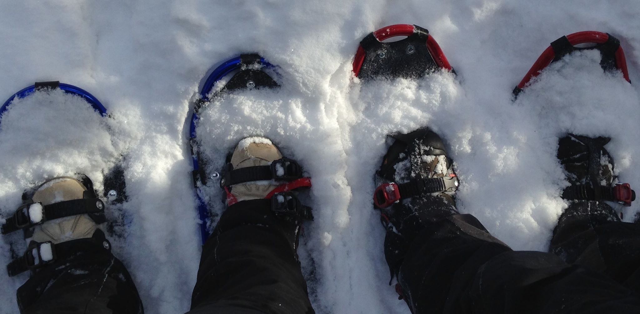 Winter Adventures of 2015-16