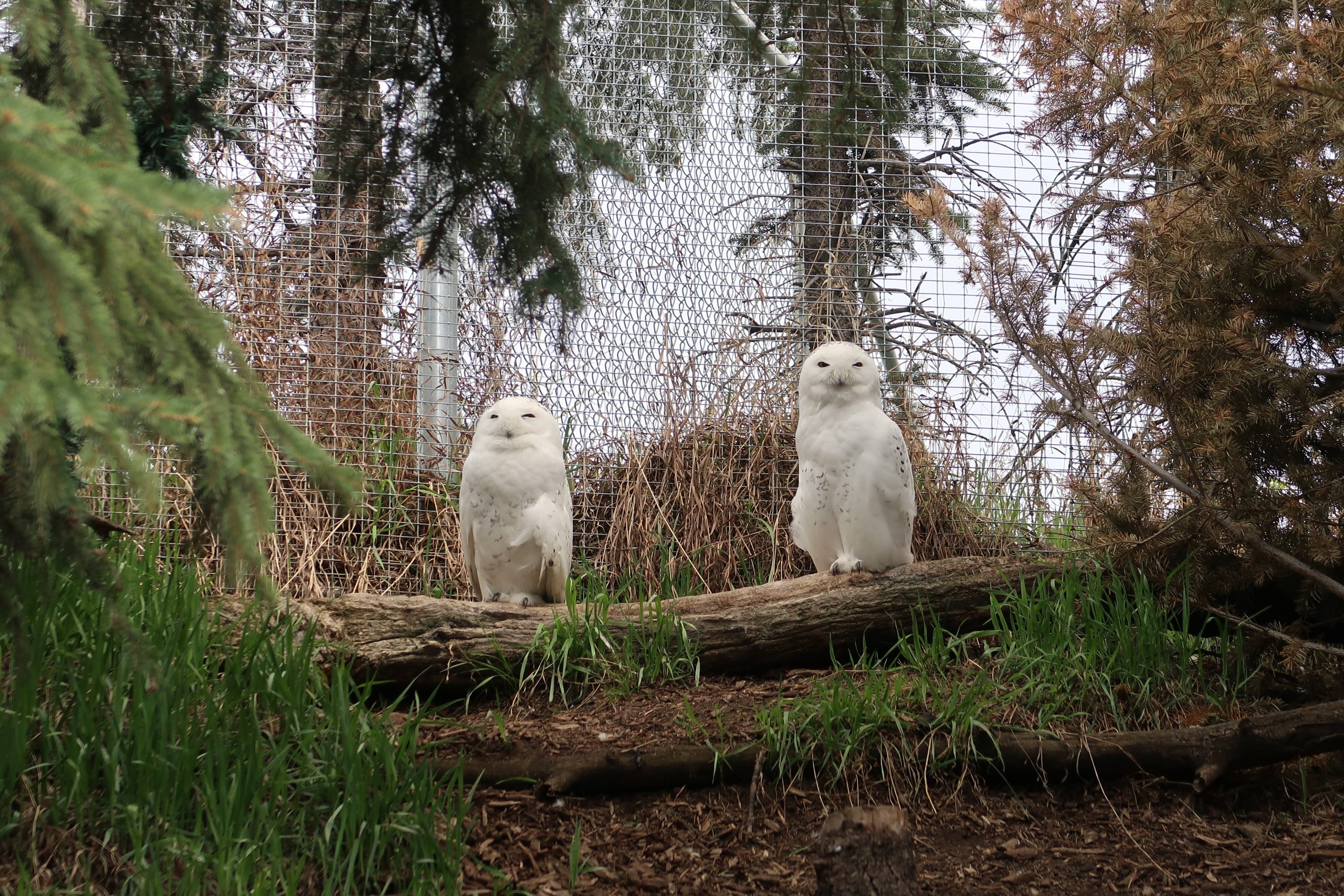 Mother’s Day at the Zoo